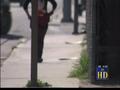News video: Police cracking down on prostitution